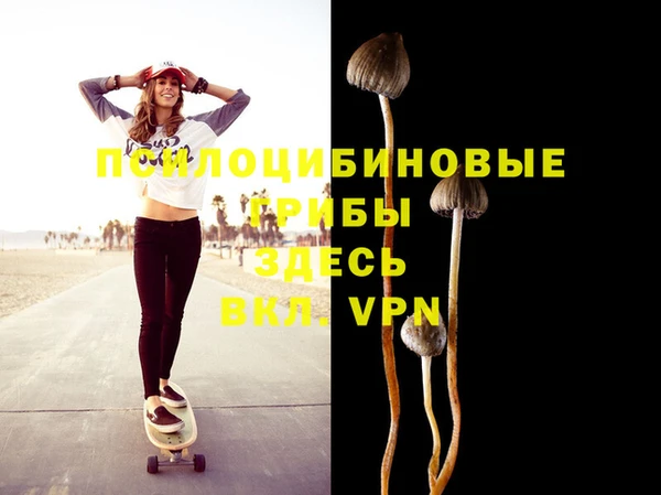 ALPHA PVP Абдулино